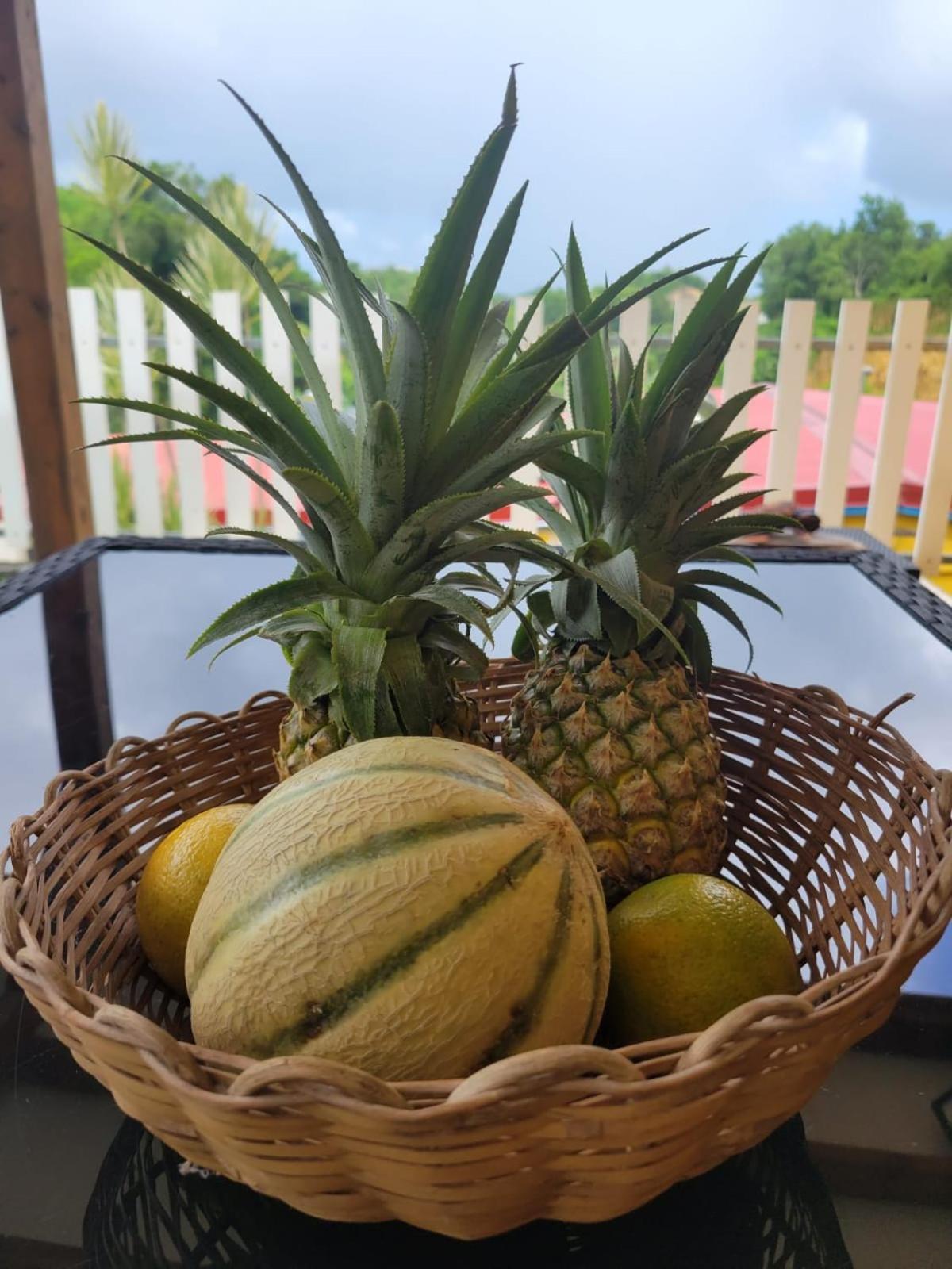 Appartement Henri Mango à Les Abymes Extérieur photo